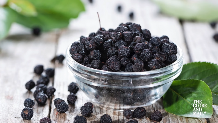 ‘Berry’ Promising! Anticancer Effects Of Aronia