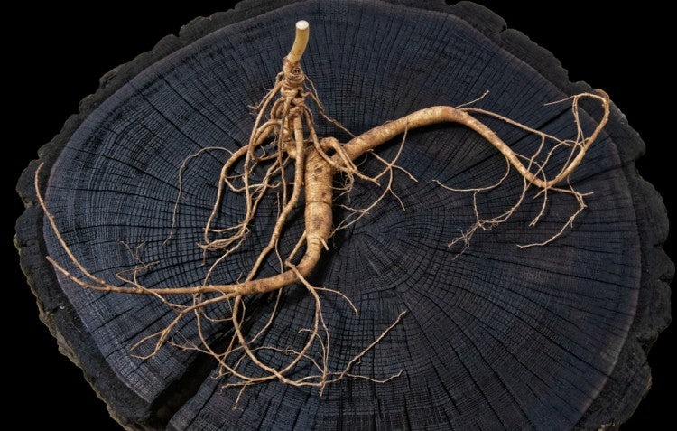 Youthful Glow: Best Ginseng Products For The Skin